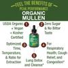 USDA Organic Mullein Leaf Drops For Lungs, Respiratory Health, Detox, Cleanse. High Bioavailability For Women, Men, Kids. Liquid Tincture Supplement. Sooth Lungs, Cough, Congestion. Vegan, Zero Sugar view 2