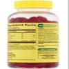 Vitamin B12 Organic Vegetarian Gummies, Metabolism Support with Methylcobalamin by Spring Valley, 500 mcg, 200 Ct (1 Pack) +Better Guide Vitamins Supplements view 2