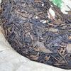 2007 China Tea Yiwu Round Raw Pu-erh Tea Cake, 380g, from Yunnan view 3