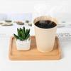 100Disposable Coffee Cups Paper Cups, Natural Eco-Friendly Bamboo Fiber Cups Brown Hot Cups Hot Tea hot Drink Water cups view 2