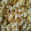 20 Pop Corn - Zea mays everta kernels (Organically Grown) view 4