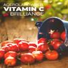 f&b superfoods Pure Organic Acerola Cherry Powder Freeze Dried (8oz), Organic Vitamin C Powder for Immune System Booster, Smoothie, Cherry Juice, acerola Vitamin c Bulk Powder, Brazil Origin. view 4