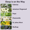 Sumbody Sleep/Relaxation Support Essential Oil & Botanical Roll On Blend, 100% Pure, Gifts for Women Lavender, Marjoram, Bergamot, Rosewood, Clary Sage view 2