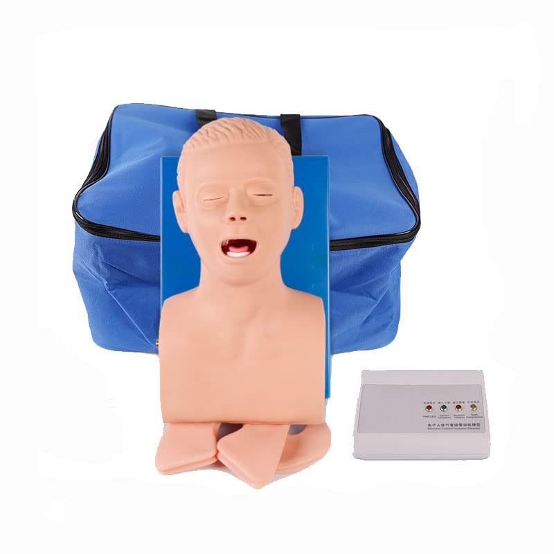 Medical Science Electronic Human Tracheal Training Model Intubation Training Manikin