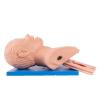Medical Science Electronic Human Tracheal Training Model Intubation Training Manikin view 2