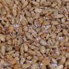 Honey Roasted Sunflower Seeds by It's Delish, 5 lbs Bulk Bag | Gourmet Sunflower Seeds Nuts in Honey Sugar Coating, Sweet & Heart Healthy Salted Nut, Kids Snack - Non-Dairy, Kosher Parve view 1
