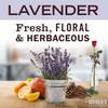 Mrs. Meyer's Liquid Dish Soap, Cruelty Free Formula, Lavender Scent, 16 oz (Pack of 2) view 3
