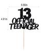 13 Official Teenager Cake Topper-13th Birthday Cake Pick Decorations for Teen 13th Birthday Party Supplies (Black flash) view 2