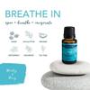 Airome, Essential Oils Blends Set of 6 (Each Bottle: 10ml), Aromatheray Starter Set Favorite Essential Oil Blends view 3