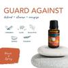 Airome, Essential Oils Blends Set of 6 (Each Bottle: 10ml), Aromatheray Starter Set Favorite Essential Oil Blends view 4