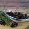 Candied Young Pine Cones - Siberian Delicacy by Samsonov 100g / 3.53oz view 4