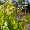 Greek Vine Leaves in Brine | Cretan Organic Handpicked Leaves | New Harvest | 28 Ounces, 800 gr view 4