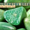 Laba Garlic Emerald Green Garlic, Sweet and Sour Garlic,specialty Pickled Pickles Fresh pickled garlic , chinese garlic , pickled green garlic, korean green garlic pickle, jade garlic (10 bag) view 3