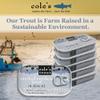 COLES - Smoked Trout Fillet with Extra Virgin Olive Oil | 3.2oz Hand-Packed Canned Fish | High in Protein & Vitamin D | Preservative Free | Single Unit view 4