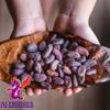 Alebrixes | Whole Cacao Beans 4 oz (114 g) | Granos de Cacao -Raw Cacao Beans | Authentic Mexican Raw Cacao - Premium Quality | Natural - Imported from Mexico view 4