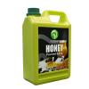 Possmei Honey Flavored Syrup, 6.6 Pound Plastic Jar 2 Pack view 4