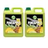 Possmei Pineapple Flavored Syrup, 5.5 Pound Plastic Jar 2 Pack view 1