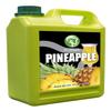 Possmei Pineapple Flavored Syrup, 5.5 Pound Plastic Jar 2 Pack view 3