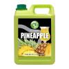 Possmei Pineapple Flavored Syrup, 5.5 Pound Plastic Jar 2 Pack view 4
