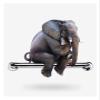 ALDEPO Grab Bars Stainless Steel Safety Grab Bar, Wall-Mounted Towel Rack, Grab Rail Elderly Child Safety Non-Slip Handle, Perforated Shower Toilet Support Handle (Size : 30Cm) view 4