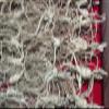 Wild Dried Ginseng Root Herbs from Changbai Mountain, 15+ Years, 3.53 Oz. Relative Integrity view 3