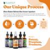 Active Adrenal + Active Ashwagandha - Support Adrenal Health + Energy - Liquid Delivery for Better Absorption - Rhodiola, Ashwagandha, B-Vitamins, Holy Basil & More! view 4