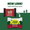 Kates Real Food Mini Organic Granola Bars - Dark Chocolate Cherry Almond (1.1 oz, Pack of 24) - Organic Energy Bars Made with Gluten Free Oats - Non GMO, Soy Free, Whole Grains, and All Natural - Healthy Snacks view 4