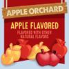 Mott's Fruit Flavored Snacks, Apple Orchard, Gluten Free Snack, Value Pack, 22 Ct, 17.6 oz view 4