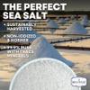 Sea Salt Superstore Coarse Sea Salt for Grinder Refill, Coarse Grain Kosher, Non-Iodized Unrefined Baja Salt for Cooking, Mineral-Rich, 14 oz Bag view 3