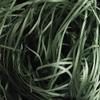 Shredded Crinkle Paper Raffia Filler DIY Wedding Party Gift Box Candy Material Packaging Filler 100g (Color : 36 Army Green, Size : 100g) view 1