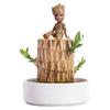 DOBOKS Lucky Wooden hydroponic Indoor Office Desk Surface Panel Green Plant Bonsai GRUIT Desktop Green Plant view 1