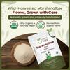 Organic Way Marshmallow Root Powder (Althaea Officinalis) - Herbal Tea | European Wild-Harvest | Organic & Kosher Certified | Non GMO & Gluten Free | USDA Certified | Origin - Albania (1LBS / 16Oz.) view 3
