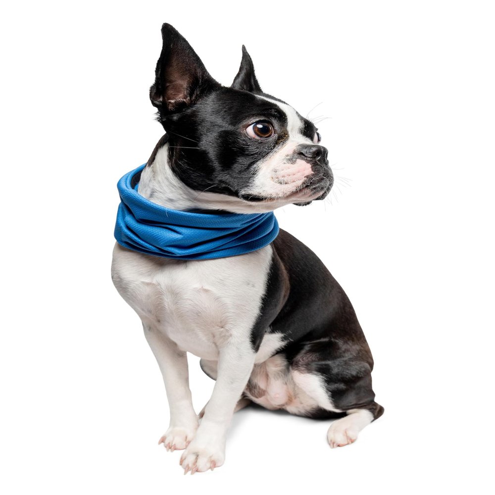 Insect Shield Pet Breathable Cooling Gaiter with Built in Bug and Tick Protection, Lake, Small