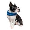 Insect Shield Pet Breathable Cooling Gaiter with Built in Bug and Tick Protection, Lake, Small view 1