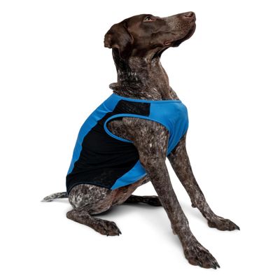 Insect Shield Pet Breathable Sleeveless Mesh Airflow Tank Top with Built in Bug and Tick Protection, Lake, X-Large