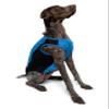 Insect Shield Pet Breathable Sleeveless Mesh Airflow Tank Top with Built in Bug and Tick Protection, Lake, X-Large view 1