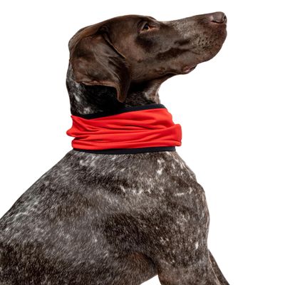 Insect Shield Pet Breathable Cooling Gaiter with Built in Bug and Tick Protection, Poppy, Large