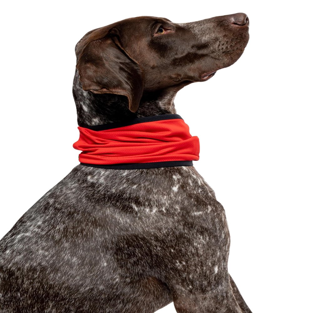 Insect Shield Pet Breathable Cooling Gaiter with Built in Bug and Tick Protection, Poppy, Large