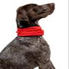 Insect Shield Pet Breathable Cooling Gaiter with Built in Bug and Tick Protection, Poppy, Large view 1