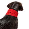 Insect Shield Pet Breathable Cooling Gaiter with Built in Bug and Tick Protection, Poppy, Large view 2