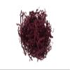 Essentials by Leisure Arts Crinkle Shred Box, Burgundy, 10lbs Shredded Paper Filler, Crinkle Cut Paper Shred Filler, Box Filler, Shredded Paper for Gift Box, Paper Crinkle Filler, Box Filling view 1