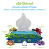 Eczema Flare Wipes - All-Natural Fast Acting Eczema Relief, Anti-Itch, Reduces Inflammation & Protects Skin Barrier, Soothes & Prevents Future Flares, pH-Balancing, Convenient On-The-Go Solution 72ct view 3