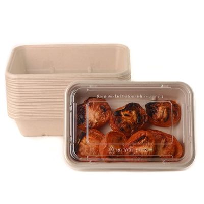 EcoQuality 34oz Compostable Eco Friendly Container trays with Lids - Rectangular Oblong Tree Free Sugarcane Bagasse Meal Prep Bento Boxes Take Out Catering Microwavable Deep Container (600)