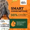 Wild & Organic Turkey Tail Mushroom Tincture - Immune Support Drops - 4 oz view 4