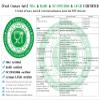 BornFeel 1000pcs Self Sealing Cellophane Bags 1'' x 6'' Long Clear Cello Bags Plastic Adhesive Bags 1mil for Candy Gifts Favors Pen Jewelery Samples Beads view 3