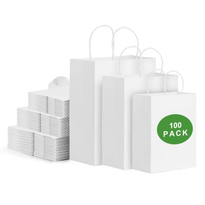 100pcs White Kraft Paper Bags with Handles Mixed Size Gift Bags Bulk,Craft Grocery Shopping Retail Birthday Party Favors Wedding Sacks Restaurant Takeout, Business