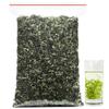 BiLuoChun Tea 8.81oz Bi Luo Chun Green Tea Chinese Green Tea Loose Leaf 250g view 1