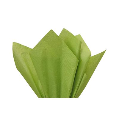 Gift Wrapping Tissue Paper 15X20 480 Pack by A1 Bakery Supplies (Oasis Green)