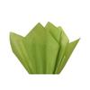 Gift Wrapping Tissue Paper 15X20 480 Pack by A1 Bakery Supplies (Oasis Green) view 1