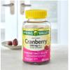 Adventure Home Spring Valley Adult Gummy Cranberry Dietary Supplement, 500 mg, 60 Count+Better Guide Vitamins Supplements view 2